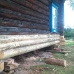 Анатолий:  Подъем и реконструкция домов, бань