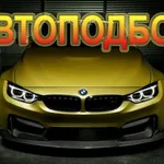 Дмитрий:  Помощь в подборе авто.Толщиномер.Сканер.Выезд