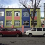 Чапля Николай Михайлович:  Пассажирские перевозки, работа на предприятии