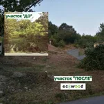 Илья Любимцев:  Расчистка участков