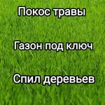 Александр:  Вспашка земли.Газон.Покос травы.Спил деревьев.