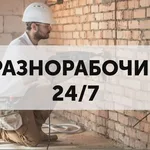 Тимур:  Разнорабочие / подсобники