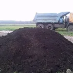 Слава:  Чернозем Земля плодородная Грунт на огород