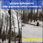 Василий:  Спил деревьев на кладбище (услуги арбориста)