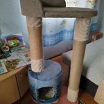 Евгения:  Домик для Котиков
