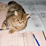 Александр:  Autocad,Solidworks,