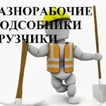Егор:  Услуги грузчиков и разнорабочих 
