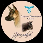 Горветклиника:  Скорая ветеринарная помощь в Ярославле