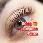Елена:  Ламинирование ресниц Брови Обучение 