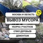 Илья:  Вывоз мусора Королев