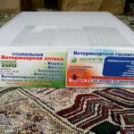Александр:  Визитки, листовки, пластиковые карты