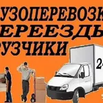 Евгений:  Переезды, грузчики