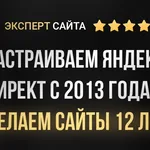 Наиль Яндекс Директолог:  Настройка рекламы в Яндекс Директе в Ульяновске