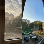 Александра:  Качественная уборка квартир и домов, выезжаю сразу