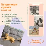 Екатерина ваш Грумер:  Стрижка кошек - Выезд на дом к клиенту