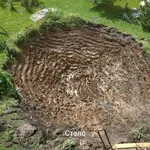 Николай:  Очистка прудов и водоемов