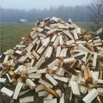 Татьяна:  Продам дрова 