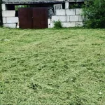 Влад:  Покос травы. Покос бурьяна