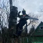 ОЛЕГ АЛЬПИНИСТ:  СПИЛ ДЕРЕВЬЕВ БАГАЕВСКАЯ