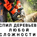 ОЛЕГ АЛЬПИНИСТ:  СПИЛ ДЕРЕВЬЕВ В РОСТОВЕ-НА-ДОНУ 
