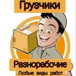 Максим:  Грузчики-разнорабочие