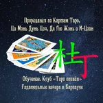 Оракул:  Гадания на Картах Таро и Оракуле Ци Мэнь Дунь Цзя. Обучение