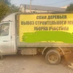 Мастер Профи:  Вывоз веток, строительного мусора