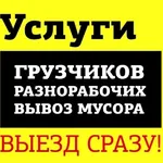 Частник Сергей:  Вывоз Мусора.Ярославль и Область.