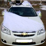 Украшения:  Украшения на машины 