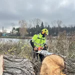 Артем:  Спил, кронирование деревьев. Измельчение веток