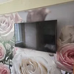 Арман:  Мастер на час. Муж на час. 