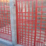 денис:  передержка собак 