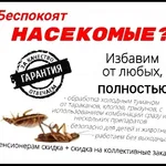 Александр:  Обработка от клопов, уничтожение тараканов и насекомых