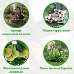 Иван:  Благоустройство участка и расчистка от зарослей