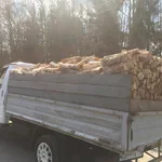 Павел:  Дрова колотые по низким ценам