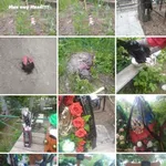 Наталия:  Магия✨🎩✨, Обучение магии.   Анализ проблем. 