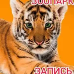 Фесенко:   перевозки Зоопарк Придорожное Старобешев район 