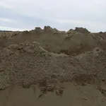 Елена Спирина:  Стройдвор КРЕПОСТЬ.