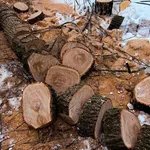 Василий РАСЧИСТКА УЧАСТКА:  Уборка территории 