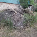 Александр:  Бесплатный вывоз металлолома/плит/колонок/холодильников