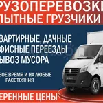 Андрей:  Переезды,грузчики 