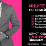 Юрист  Дмитрий  Николаев:  Нужен юрист по семейным вопросам?Мы здесь!