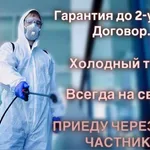 Дмитрий:  Дезинфекция Уничтожение тараканов клопов мышей Дезинсекция.