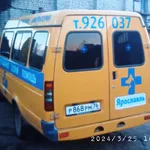 Горветклиника:  Станция скорой ветеринарной помощи
