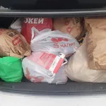 антон:  Пассажирские перевозки
