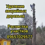 Роман:  Спил вырубка деревьев,расчистка участка Малоярославец
