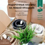 Виктория:  Подарочные наборы в наличии и под заказ