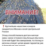 Максим:  Москиные сетки антипыль 