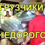 ГРУЗТОРГ ВОРОНЕЖ:  Грузчики на час Воронеж и область