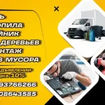 артем:  Спил деревьев с вывозом